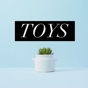 Kids Toys